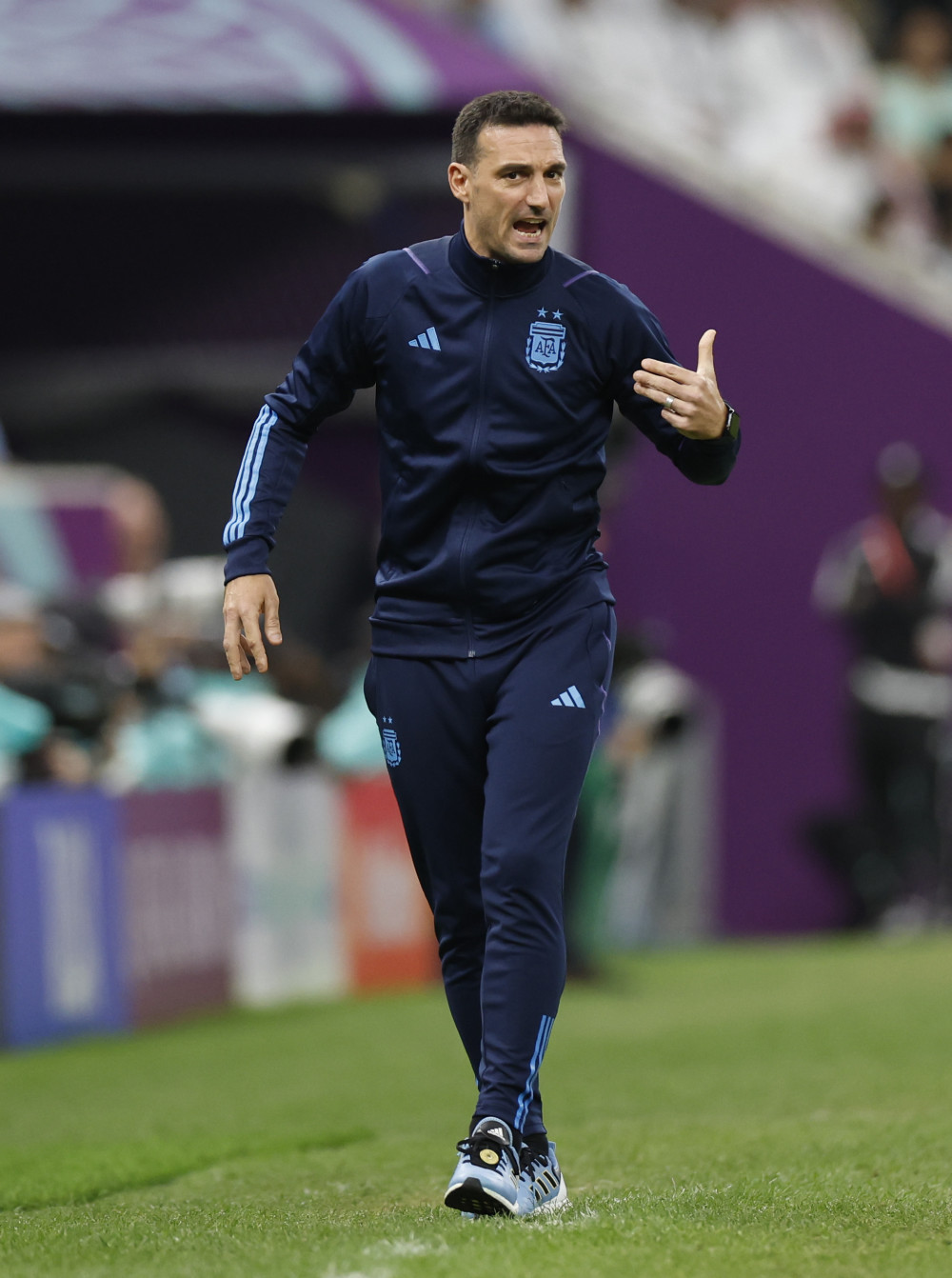 关于阿根廷足坛新任主帅现身，雄心壮志做新赛季打算的信息