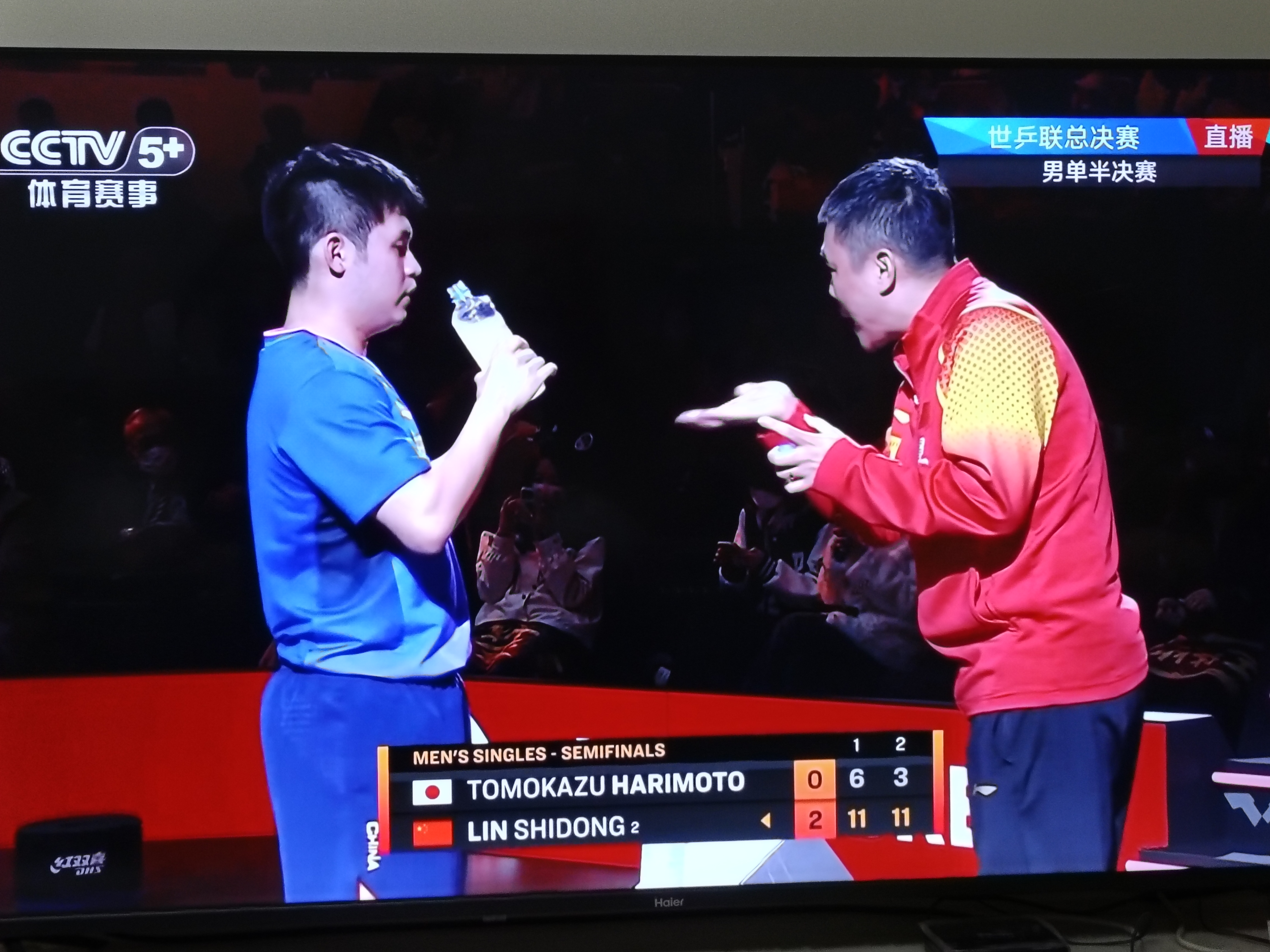 韩国队轻取德国队，张本智和扛起全队的简单介绍