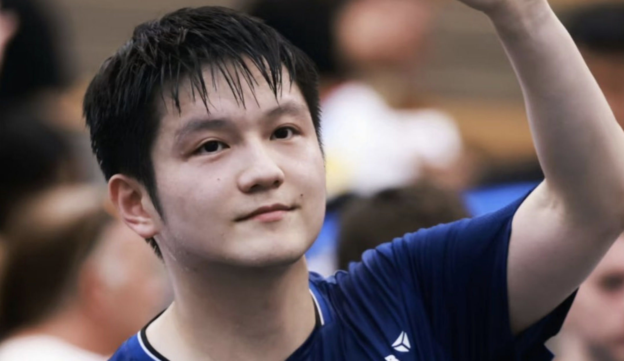 奥地利队力克德国队，樊振东关键制胜的简单介绍