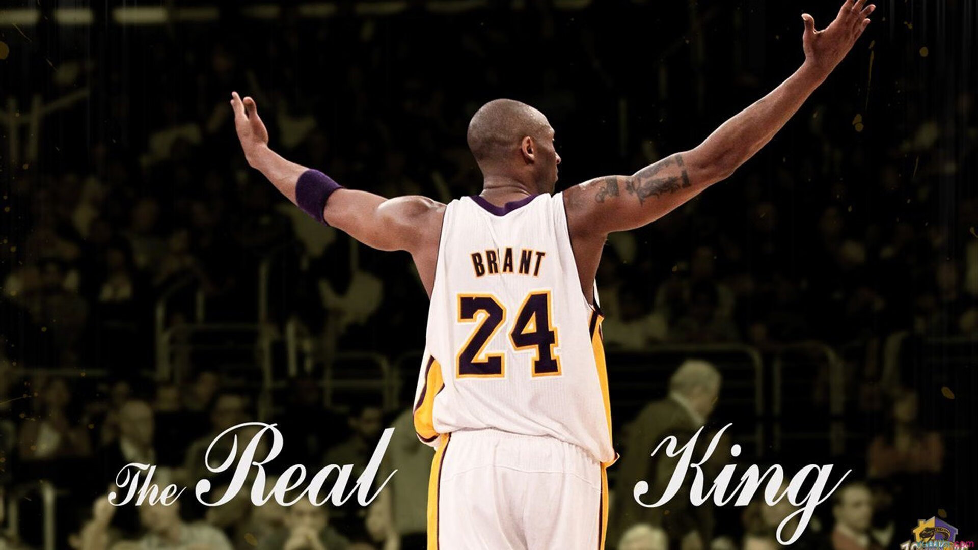 尼克斯对阵北京队，小贾伦展现巨星价值