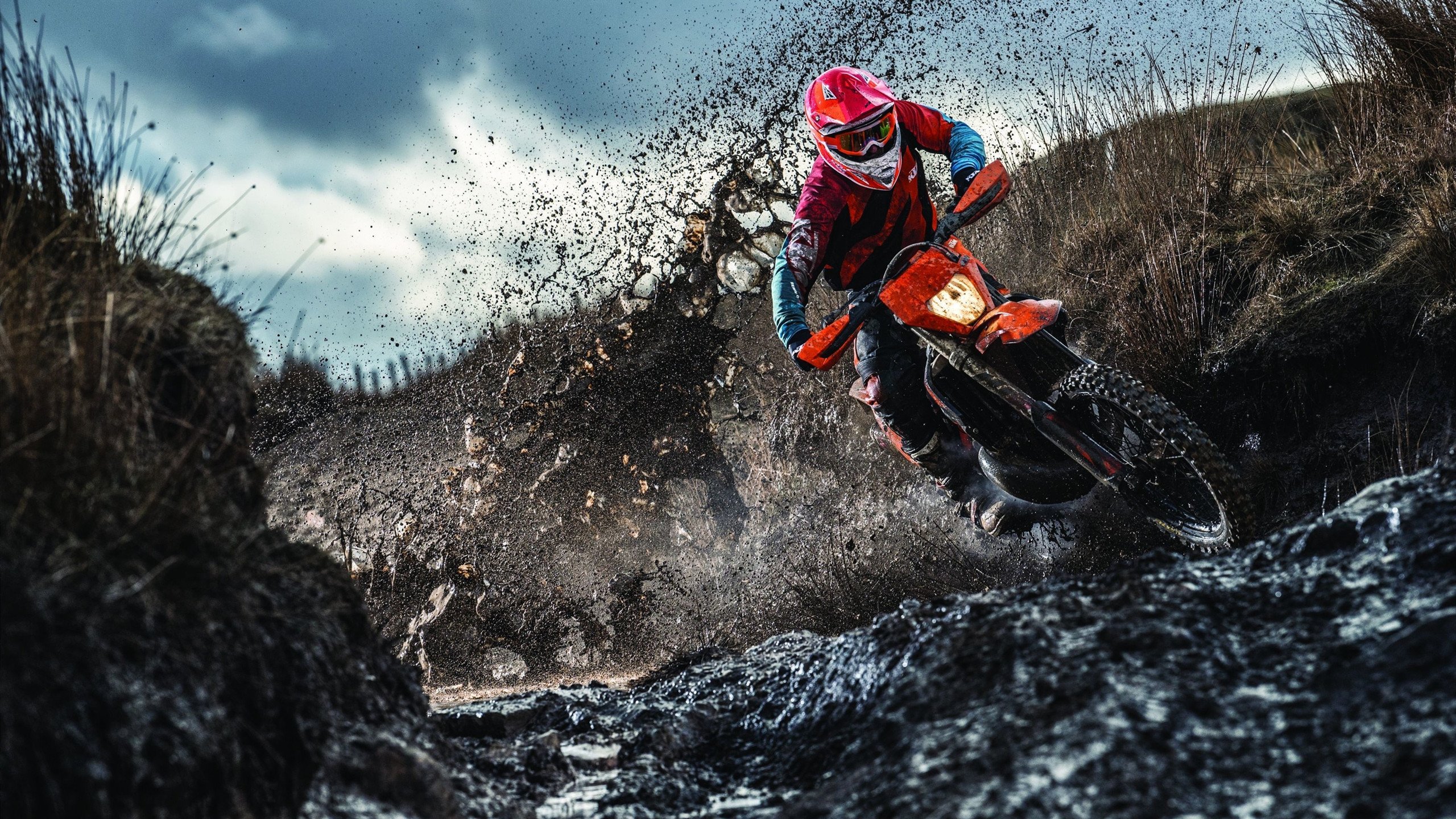 范戴克一锤定音，马赛风暴席卷苏格兰